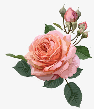 唯美手绘花卉与数码产品的跨界诗意